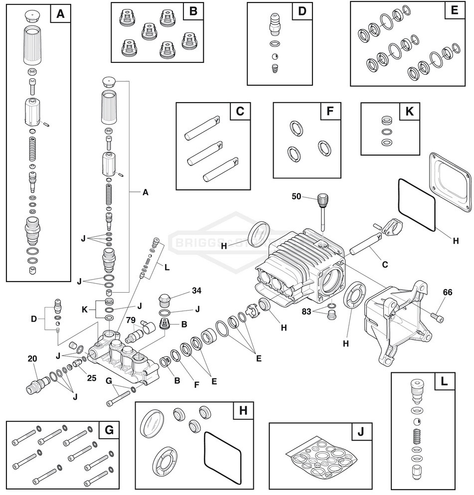 Elite series briggs model 020507 pump breakdown & parts